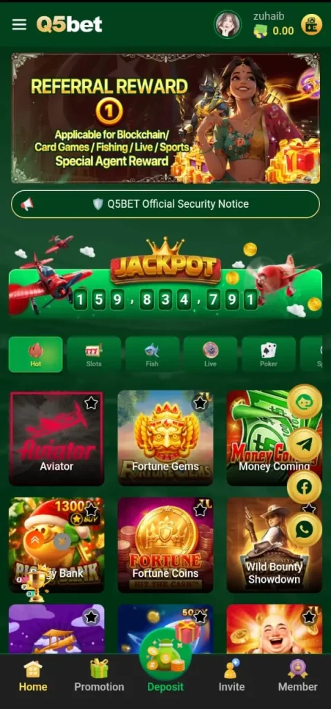 Q5bet Best Real and Ultimate Money Earning App in Pakistan 3 Q5Bet Game 479x1024 1